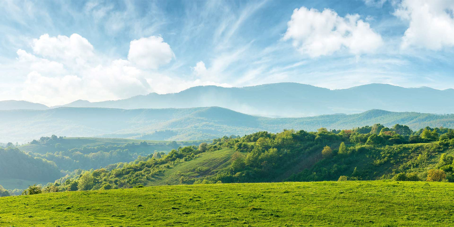 Endless Summer (15ml) - Doterra