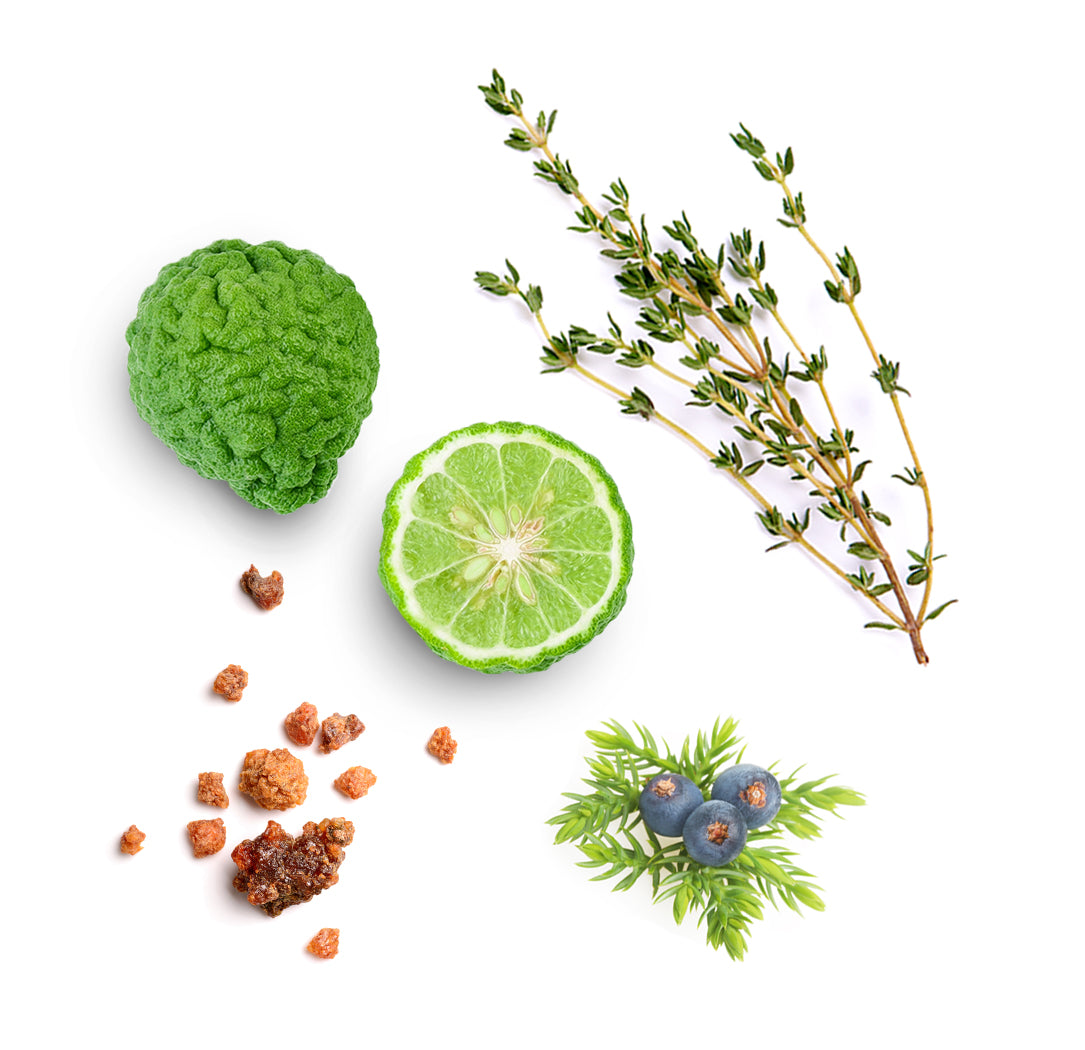 forgive whats inside 1085x1050 eu