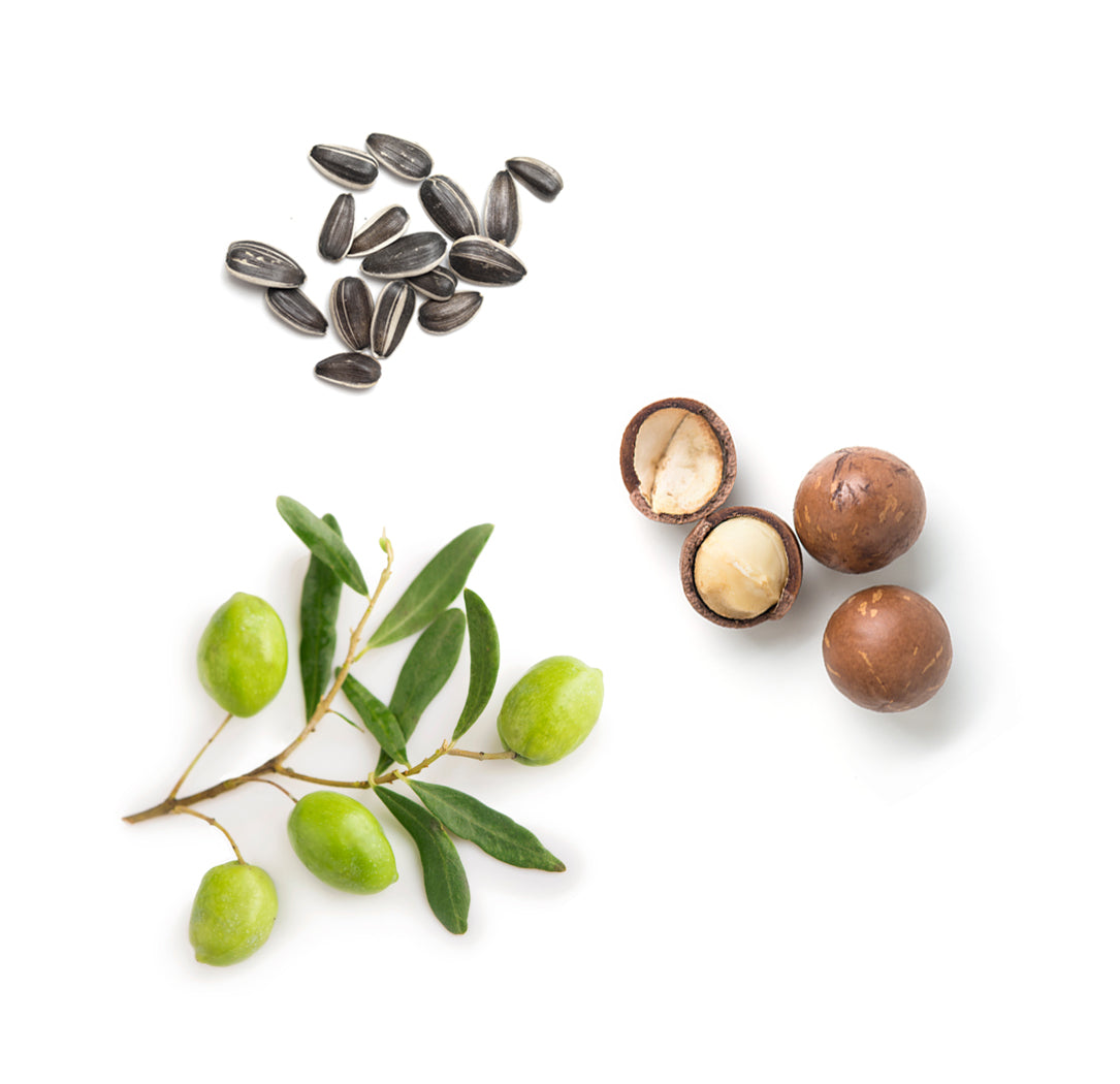 handandbodylotion whats inside 1085x1050 eu