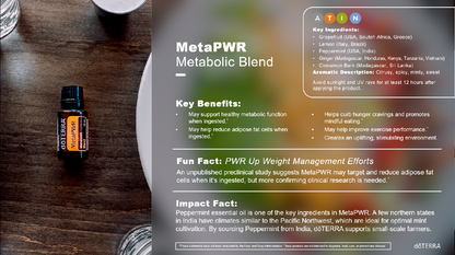 Doterra metaPWR olajkeverék 15ml fact sheet