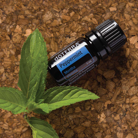 borsmenta doterra