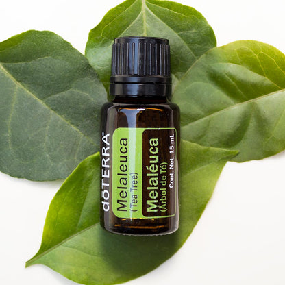 Doterra Teafa (Tea tree) illóolaj 15 ml