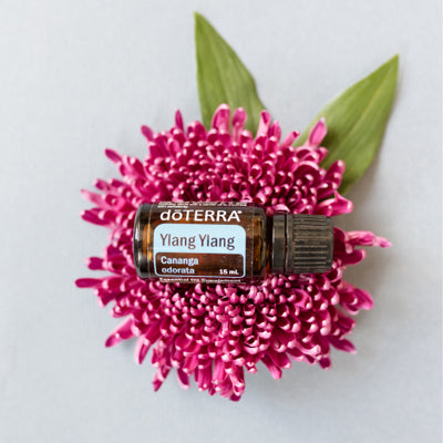 Doterra - Ylang ylang