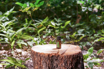 doterra terrashield 15ml illóolaj keverék