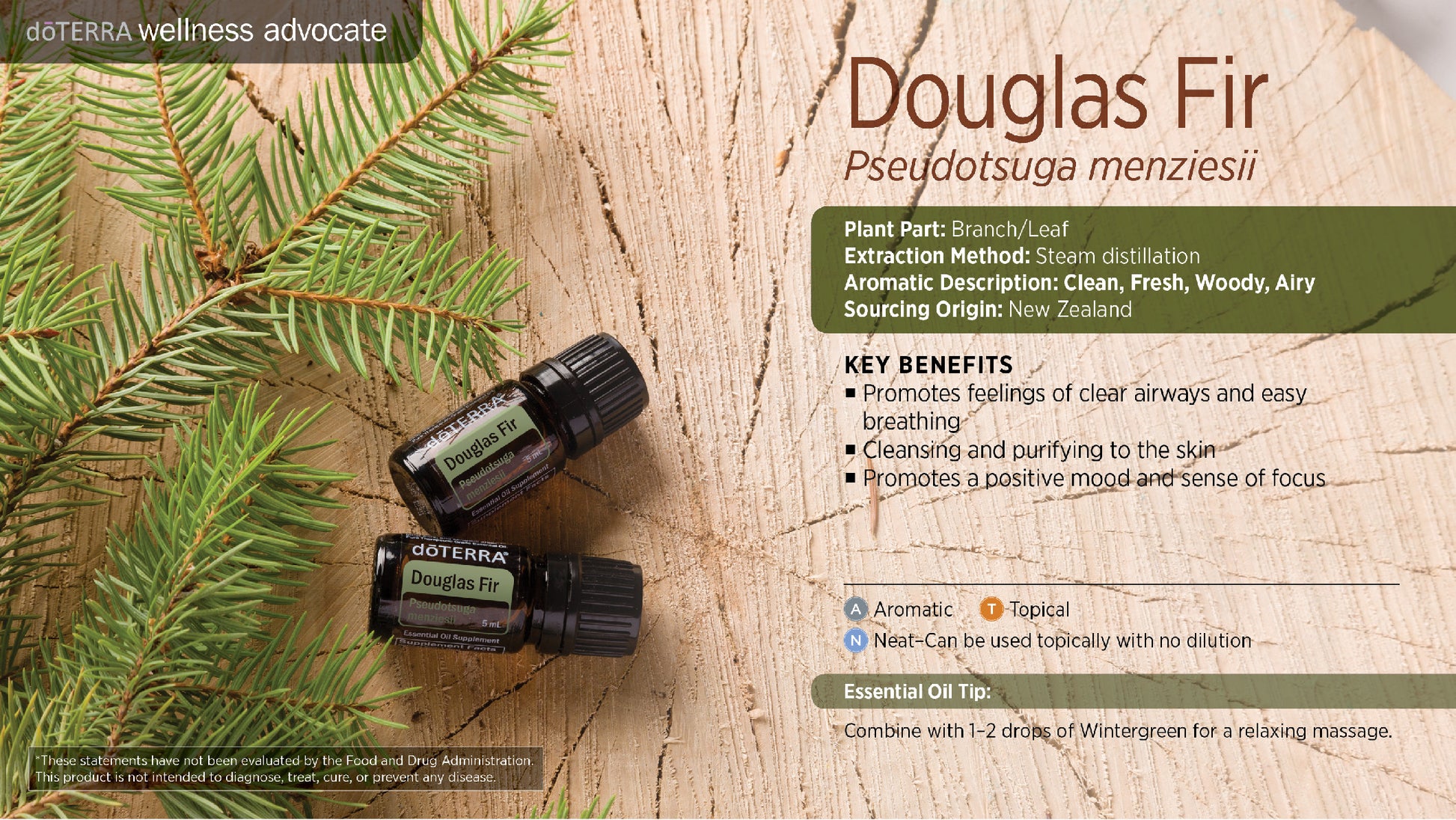 Doterra duglász fenyő douglas fir
