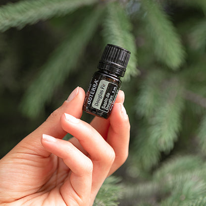 Doterra duglász fenyő douglas fir